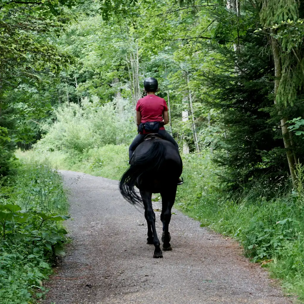 excursión a caballo